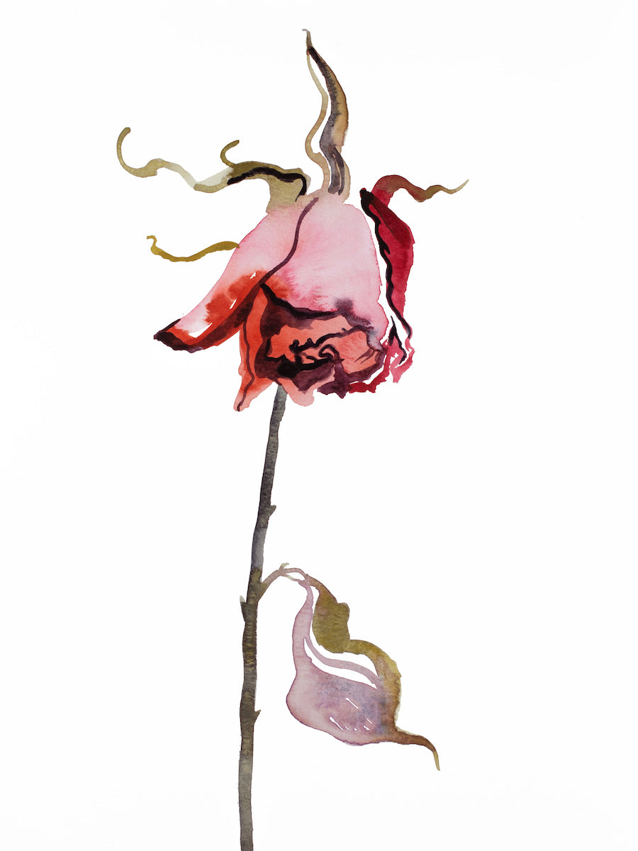 9” x 12” original watercolor botanical floral rose painting in an ethereal, expressive, impressionist, minimalist, modern style by contemporary fine artist Elizabeth Becker.