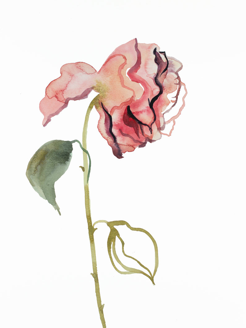 9” x 12” original watercolor botanical floral rose painting in an ethereal, expressive, impressionist, minimalist, modern style by contemporary fine artist Elizabeth Becker.