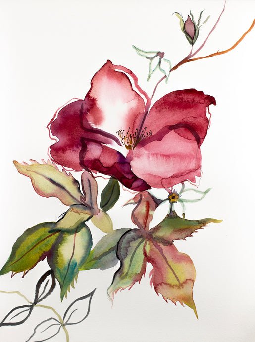 9” x 12” original watercolor botanical abstract floral rose painting in an ethereal, expressive, impressionist, minimalist, modern style by contemporary fine artist Elizabeth Becker