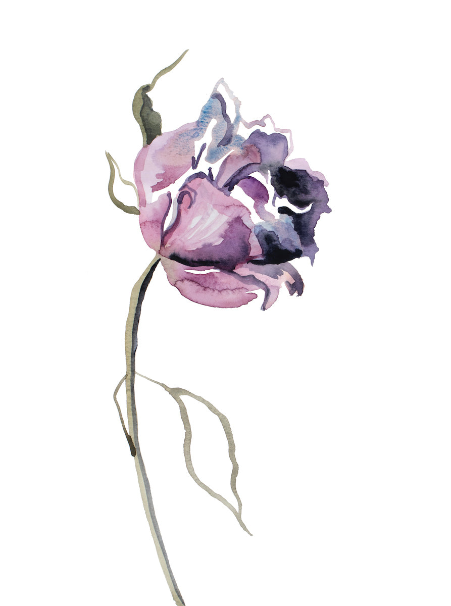 9” x 12” original watercolor botanical floral rose painting in an ethereal, expressive, impressionist, minimalist, modern style by contemporary fine artist Elizabeth Becker. Soft purple and olive green colors. Prints available.