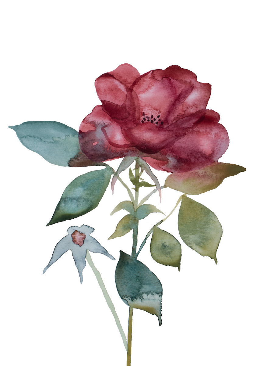 9” x 12” original watercolor botanical floral rose painting in an ethereal, expressive, impressionist, minimalist, modern style by contemporary fine artist Elizabeth Becker. Dark maroon red, deep green, olive and white colors. Prints available.9” x 12” original watercolor botanical floral rose painting in an ethereal, expressive, impressionist, minimalist, modern style by contemporary fine artist Elizabeth Becker. Dark red, maroon, deep green, olive and white colors. Prints available.