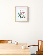 Load image into Gallery viewer, 9&quot; x 12&quot; original watercolor botanical wild rose floral painting in an expressive, abstract, minimalist, modern, loose, watery style by contemporary fine artist Elizabeth Becker. Tranquil, serene, calming, peaceful boho wall art. Muted soft red, pink, peach, olive green and teal colors with white background. Framed.
