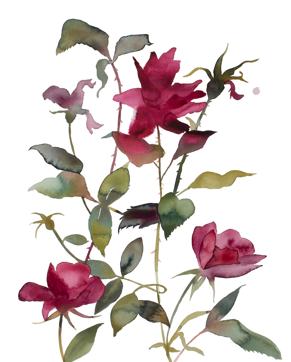 16” x 20” original watercolor botanical floral rose painting in an expressive, minimalist, modern style by contemporary fine artist Elizabeth Becker. Moody deep red, maroon, burgundy and dark green colors with white background. Prints available.