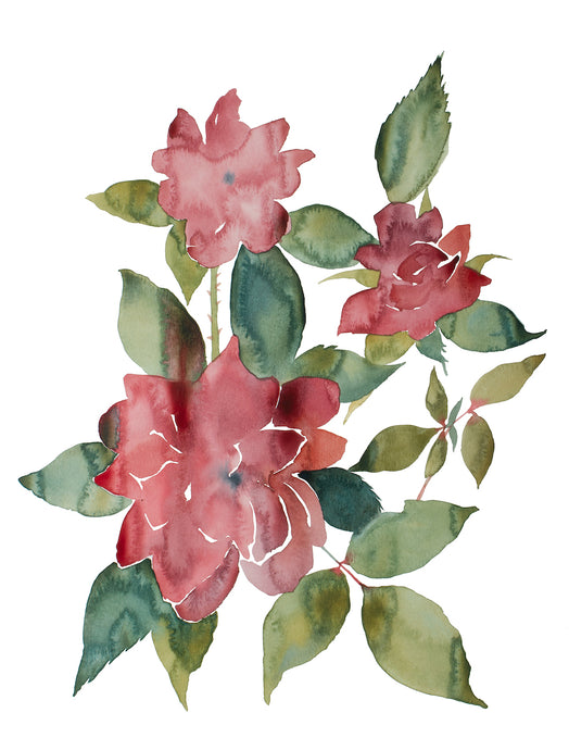 18” x 24” original watercolor botanical floral rose painting in an expressive, minimalist, modern style by contemporary fine artist Elizabeth Becker. Soft muted red, pink and dark olive green colors with white background. Prints available.