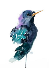 Load image into Gallery viewer, 9” x 12” original watercolor starling bird painting in an ethereal, expressive, impressionist, minimalist, modern style by contemporary fine artist Elizabeth Becker. Watery monochromatic black, green, purple and white colors.
