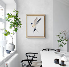 Load image into Gallery viewer, 16” x 20” original watercolor flying swallow bird painting in an expressive, impressionist, minimalist, modern style by contemporary fine artist Elizabeth Becker. Soft peach, ink blue, gray and white colors.
