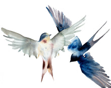 Load image into Gallery viewer, 16” x 20” original watercolor pair or couple of flying swallow birds painting in an expressive, impressionist, minimalist, modern style by contemporary fine artist Elizabeth Becker. Soft peach, gray, ink blue and white colors.
