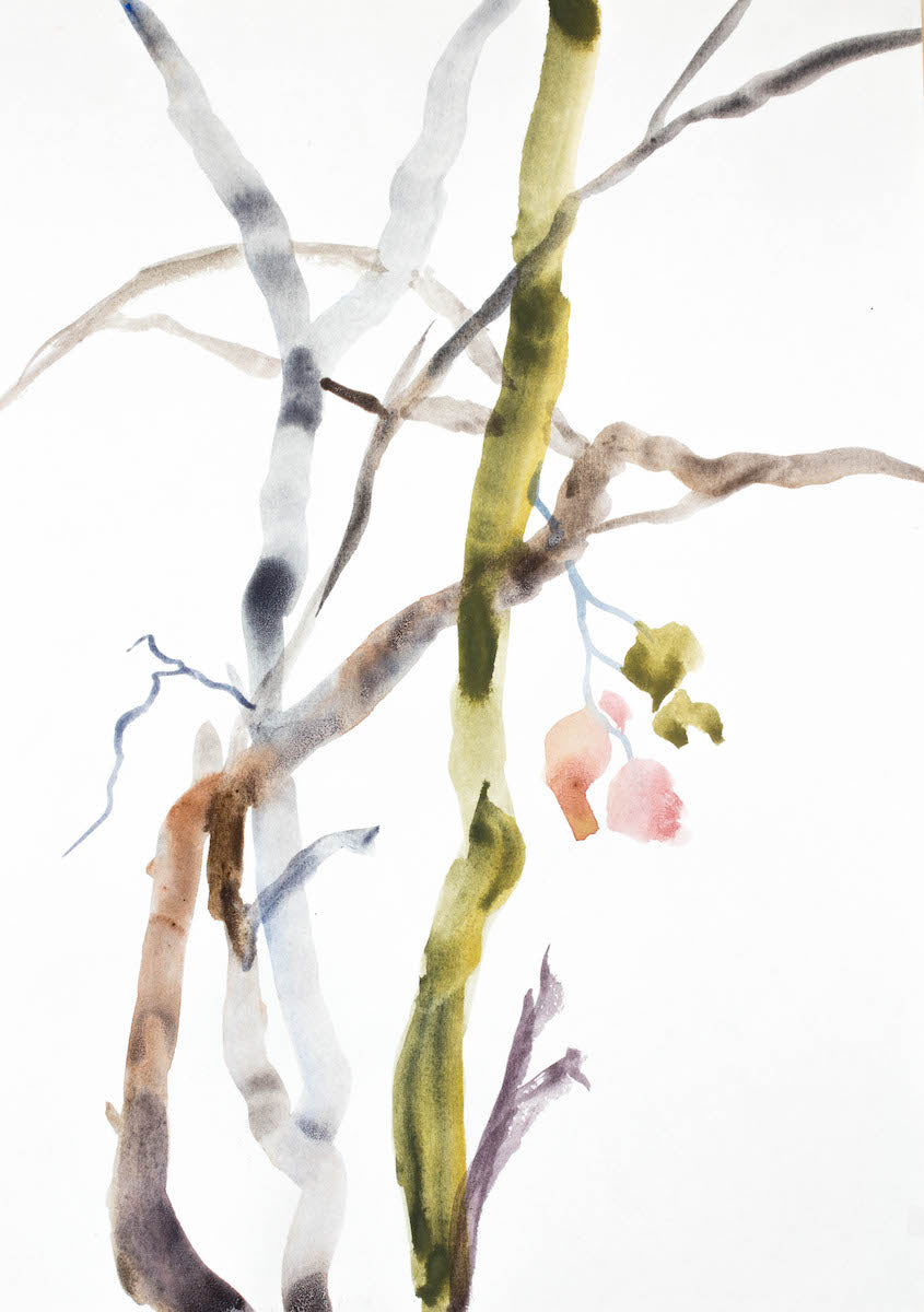 9” x 12” original watercolor botanical nature painting of plant, leaves and tree branches in an expressive, impressionist, minimalist, modern style by contemporary fine artist Elizabeth Becker. Soft watery muted pink, olive green, gray and white colors. 