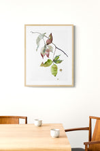 Load image into Gallery viewer, 9” x 12” original watercolor botanical nature line painting of plant, leaves and branches in an expressive, impressionist, minimalist, modern style by contemporary fine artist Elizabeth Becker. Watery monochromatic green, mauve purple, deep red and white colors.
