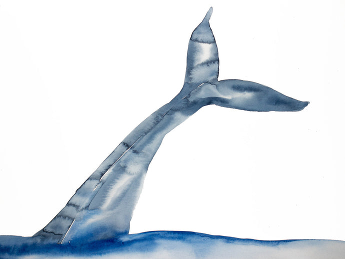 18” x 24” original watercolor whale tail painting in an expressive, impressionist, minimalist, modern style by contemporary fine artist Elizabeth Becker. Watery ocean, sea, beach wall art. Monochromatic blue gray with white background.