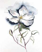Load image into Gallery viewer, 16” x 20” original watercolor botanical wild rose floral painting in an expressive, impressionist, minimalist, modern style by contemporary fine artist Elizabeth Becker. Soft watery monochromatic black, payne&#39;s gray, olive green and white colors. 
