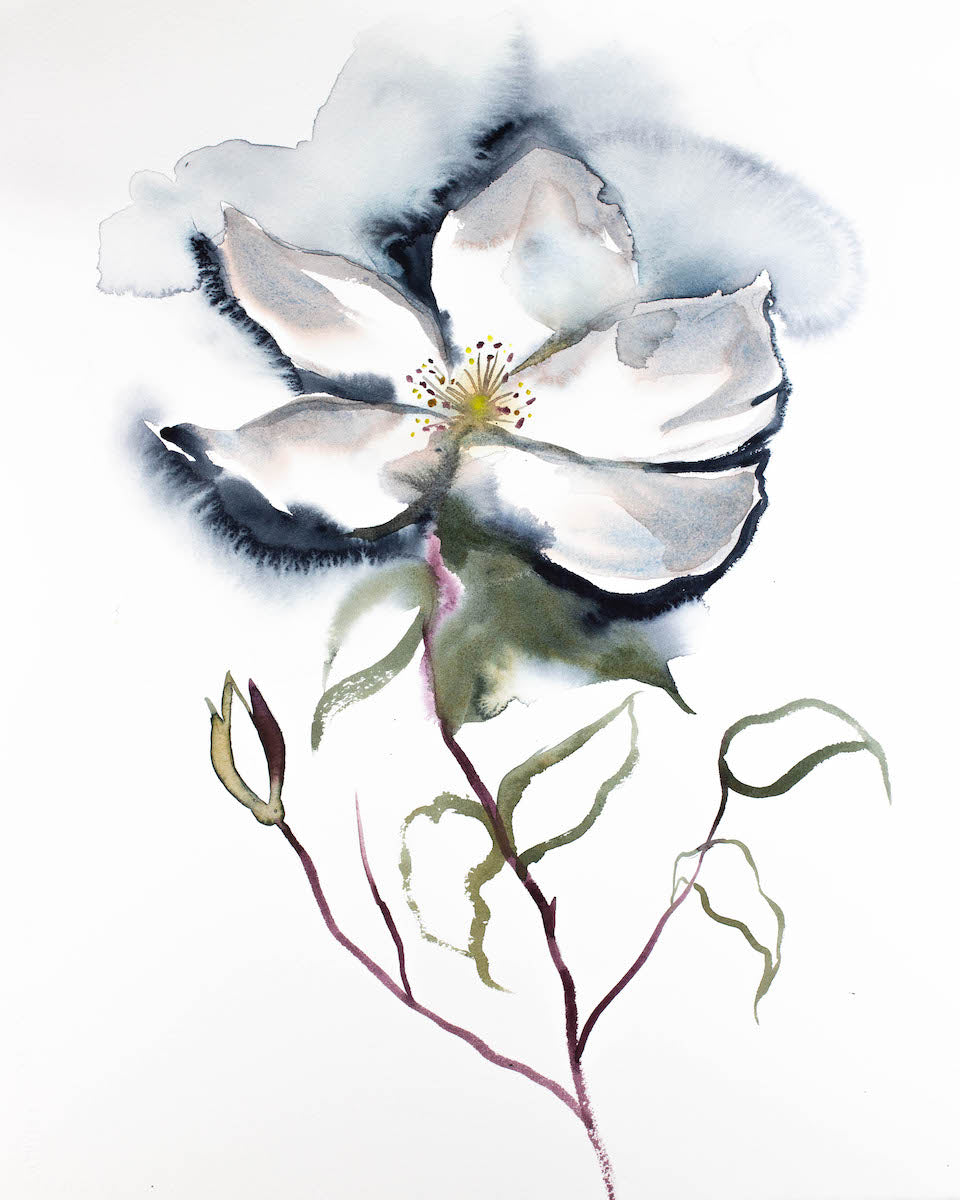16” x 20” original watercolor botanical wild rose floral painting in an expressive, impressionist, minimalist, modern style by contemporary fine artist Elizabeth Becker. Soft watery monochromatic black, payne's gray, olive green and white colors. 