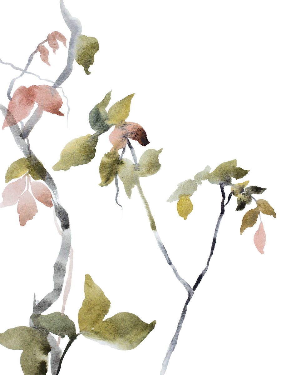 9” x 12” original watercolor botanical nature painting of plant, leaves and tree branches in an expressive, impressionist, minimalist, modern style by contemporary fine artist Elizabeth Becker. Soft watery muted pink, olive green, gray and white colors. 