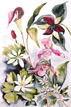 Load image into Gallery viewer, 24" x 36" original watercolor botanical woodland wildflowers collage. Flower painting on canvas. Varnished and ready-to-hang. Expressive, loose, watery, moody, modern style by contemporary fine artist Elizabeth Becker. Prints available. Trillium, Lady Slippers, Bloodroot, Anemone and Jack-in-the-Pulpit.
