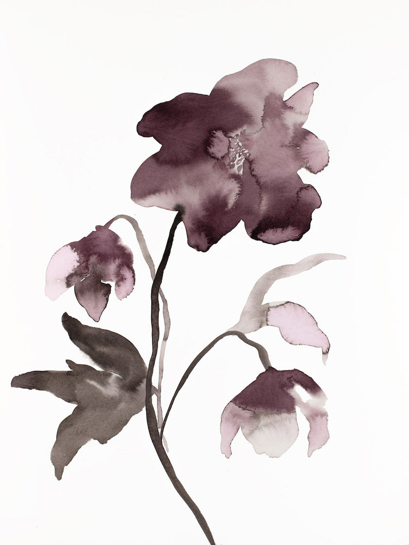 9” x 12” original watercolor ink botanical hellebore floral painting in an expressive, impressionist, minimalist, modern style by contemporary fine artist Elizabeth Becker. Deep moody monochromatic mauve purple, black and white colors.