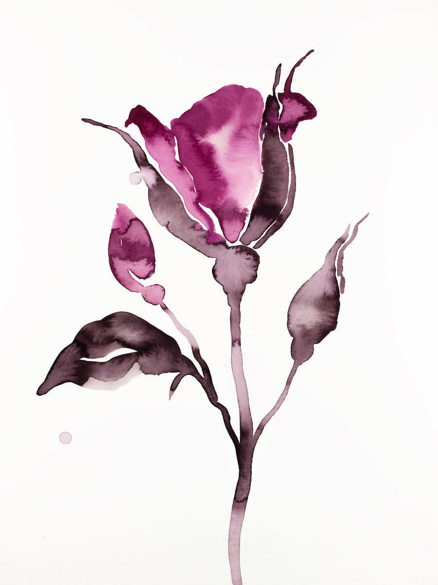 9” x 12” original watercolor ink botanical hellebore floral painting in an expressive, impressionist, minimalist, modern style by contemporary fine artist Elizabeth Becker. Deep moody monochromatic fuschia pink black and white colors.