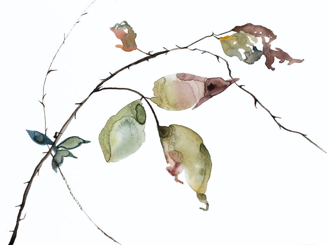 9” x 12” original watercolor botanical nature line painting of plant, leaves and branches in an expressive, impressionist, minimalist, modern style by contemporary fine artist Elizabeth Becker. Soft blue green, gold, red, purple and white colors.
