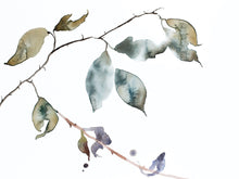 Load image into Gallery viewer, 9” x 12” original watercolor botanical nature line painting of plant, leaves and branches in an expressive, impressionist, minimalist, modern style by contemporary fine artist Elizabeth Becker. Soft blue green, gold, purple and white colors.

