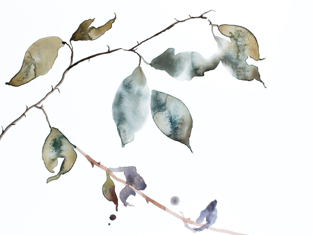 9” x 12” original watercolor botanical nature line painting of plant, leaves and branches in an expressive, impressionist, minimalist, modern style by contemporary fine artist Elizabeth Becker. Soft blue green, gold, purple and white colors.