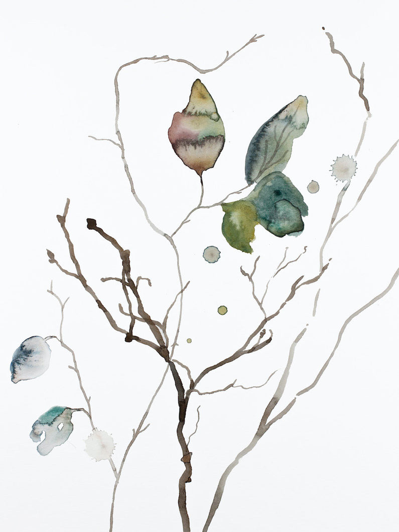 9” x 12” original watercolor botanical nature line painting of plant, leaves and branches in an expressive, impressionist, minimalist, modern style by contemporary fine artist Elizabeth Becker