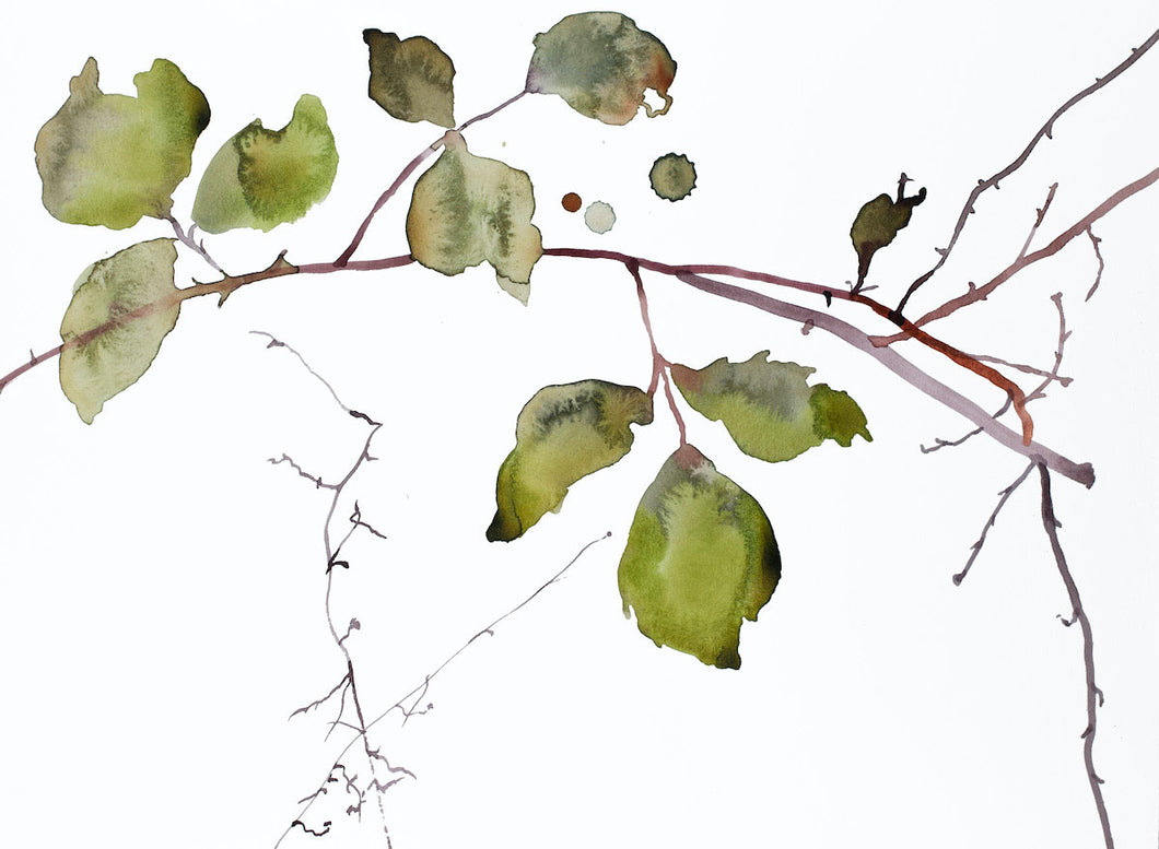 11” x 15” original watercolor botanical nature tree painting in an expressive, impressionist, minimalist, modern style by contemporary fine artist Elizabeth Becker. Soft monochromatic gold green, purple and white colors.
