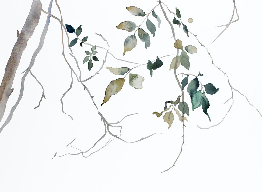 11” x 15” original watercolor botanical nature tree painting in an expressive, impressionist, minimalist, modern style by contemporary fine artist Elizabeth Becker. Soft blue green gold, gray and white colors.