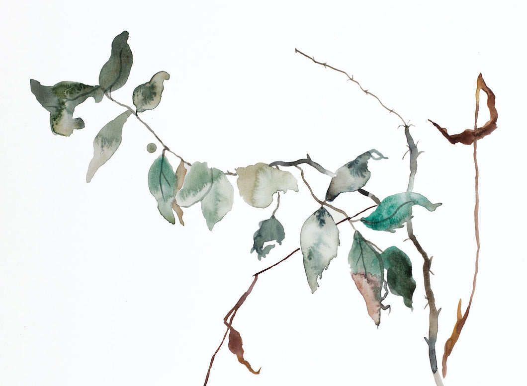 11” x 15” original watercolor botanical nature tree painting in an expressive, impressionist, minimalist, modern style by contemporary fine artist Elizabeth Becker. Soft blue green, gold, burnt sienna, gray and white colors.