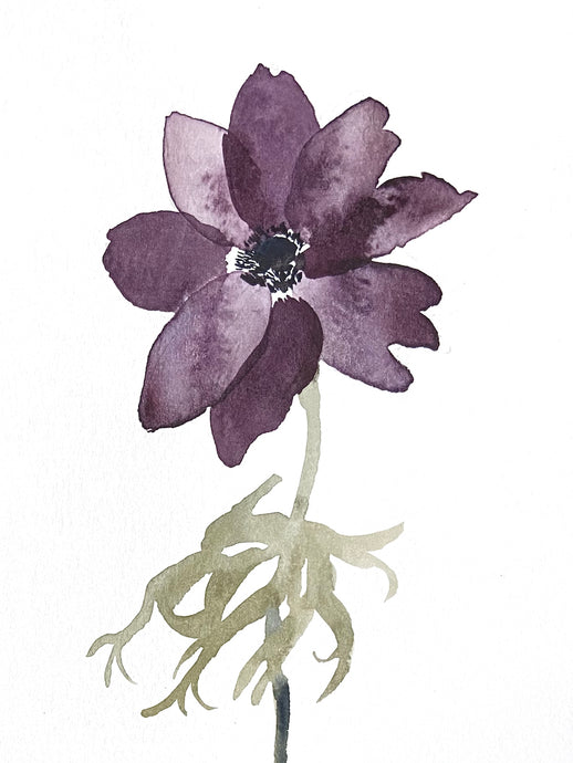 5” x 7” original watercolor botanical deep purple anemone floral painting in an expressive, impressionist, minimalist, modern style by contemporary fine artist Elizabeth Becker 