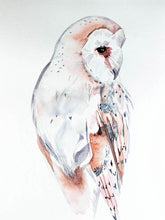 Load image into Gallery viewer, 9” x 12” original watercolor wildlife nature barn owl painting in an ethereal, expressive, impressionist, minimalist, modern style by contemporary fine artist Elizabeth Becker. Soft peach, gray and white colors.

