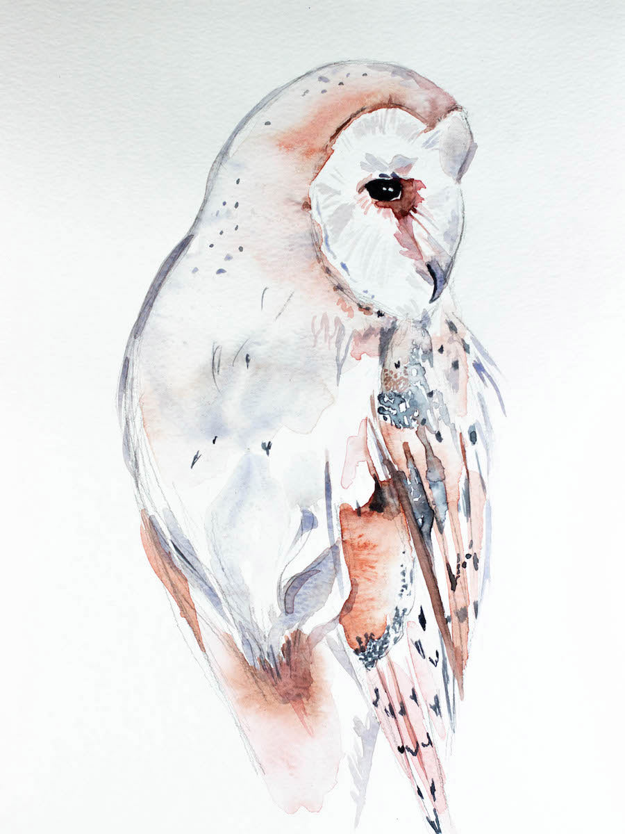 9” x 12” original watercolor wildlife nature barn owl painting in an ethereal, expressive, impressionist, minimalist, modern style by contemporary fine artist Elizabeth Becker. Soft peach, gray and white colors.