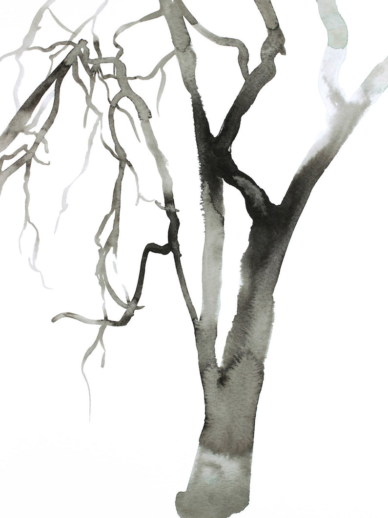 9” x 12” black and white botanical tree original ink painting in an expressive, impressionist, minimalist, modern style by contemporary fine artist Elizabeth Becker