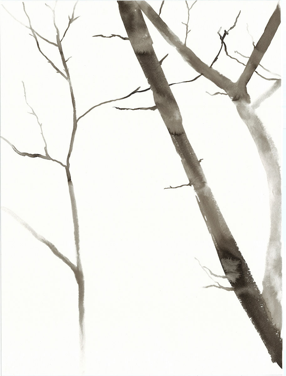 18” x 24” black and white original ink painting of bare trees in an expressive, impressionist, minimalist, modern style by contemporary fine artist Elizabeth Becker