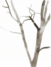 Load image into Gallery viewer, 18” x 24” black and white original ink painting of bare winter trees in an expressive, impressionist, minimalist, modern style by contemporary fine artist Elizabeth Becker
