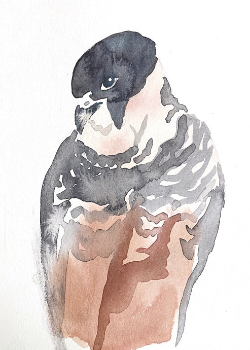 5” x 7” original watercolor wildlife nature bat falcon painting in an ethereal, expressive, impressionist, minimalist, modern style by contemporary fine artist Elizabeth Becker