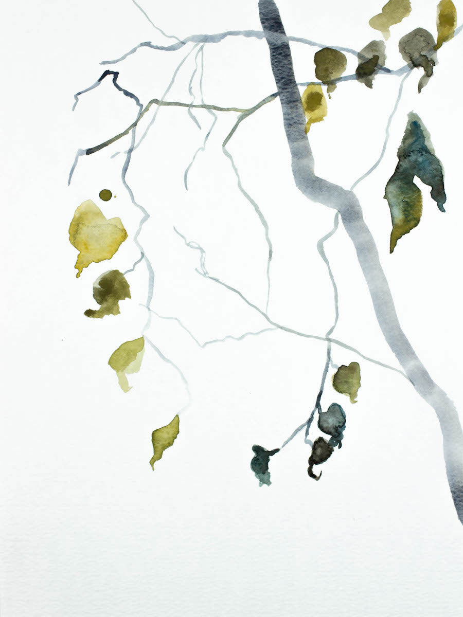 9” x 12” original watercolor botanical nature painting of tree branches and leaves in an expressive, impressionist, minimalist, modern style by contemporary fine artist Elizabeth Becker. Soft blue green, yellow gold, gray and white colors.