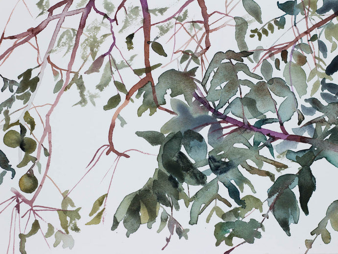 9” x 12” original watercolor botanical nature painting of tree branches and leaves in an expressive, impressionist, minimalist, modern style by contemporary fine artist Elizabeth Becker