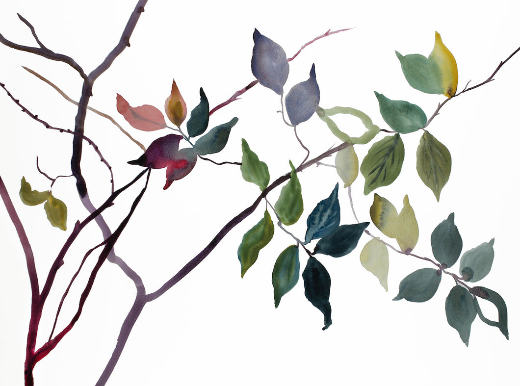 18” x 24” original watercolor botanical nature painting of autumn leaves and branches in an expressive, impressionist, minimalist, modern style by contemporary fine artist Elizabeth Becker