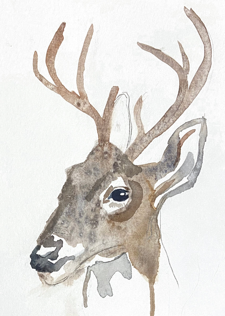5” x 7” original watercolor buck deer painting in an ethereal, expressive, impressionist, minimalist, modern style by contemporary fine artist Elizabeth Becker