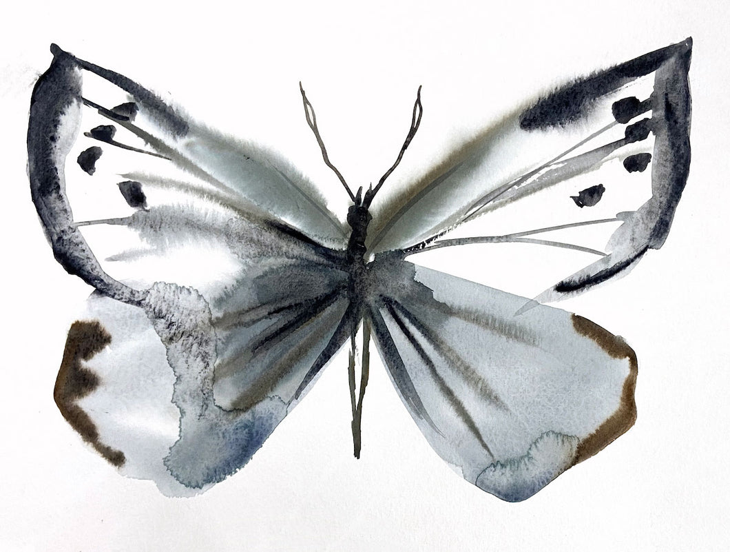 9” x 12” original watercolor butterfly painting in an expressive, impressionist, minimalist, modern style by contemporary fine artist Elizabeth Becker. 