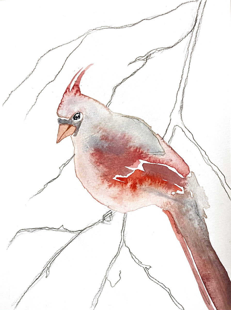5” x 7” original watercolor wildlife nature cardinal bird painting in an ethereal, expressive, impressionist, minimalist, modern style by contemporary fine artist Elizabeth Becker