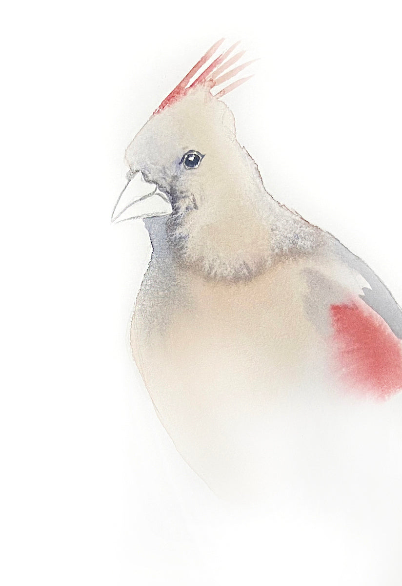 5” x 7” original watercolor female cardinal painting in an ethereal, expressive, impressionist, minimalist, modern style by contemporary fine artist Elizabeth Becker