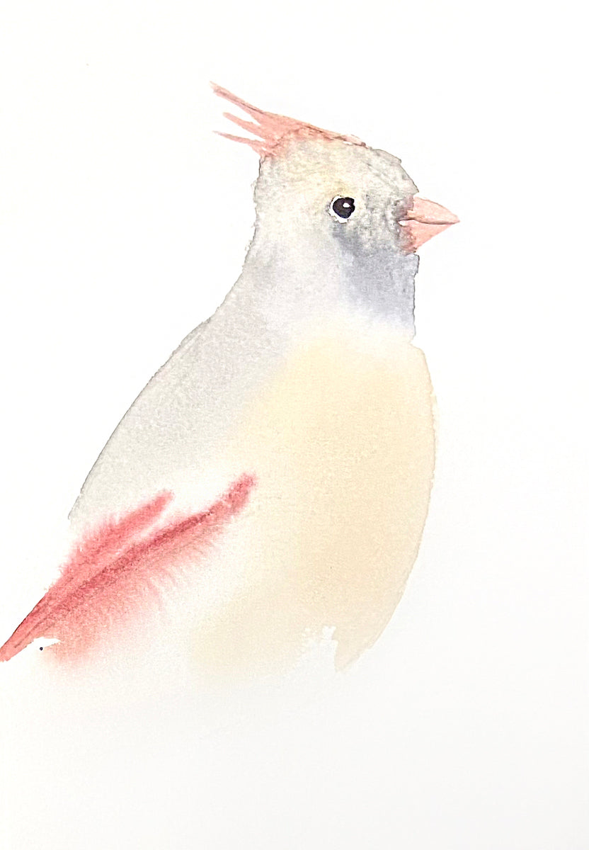 5” x 7” original watercolor female cardinal painting in an ethereal, expressive, impressionist, minimalist, modern style by contemporary fine artist Elizabeth Becker