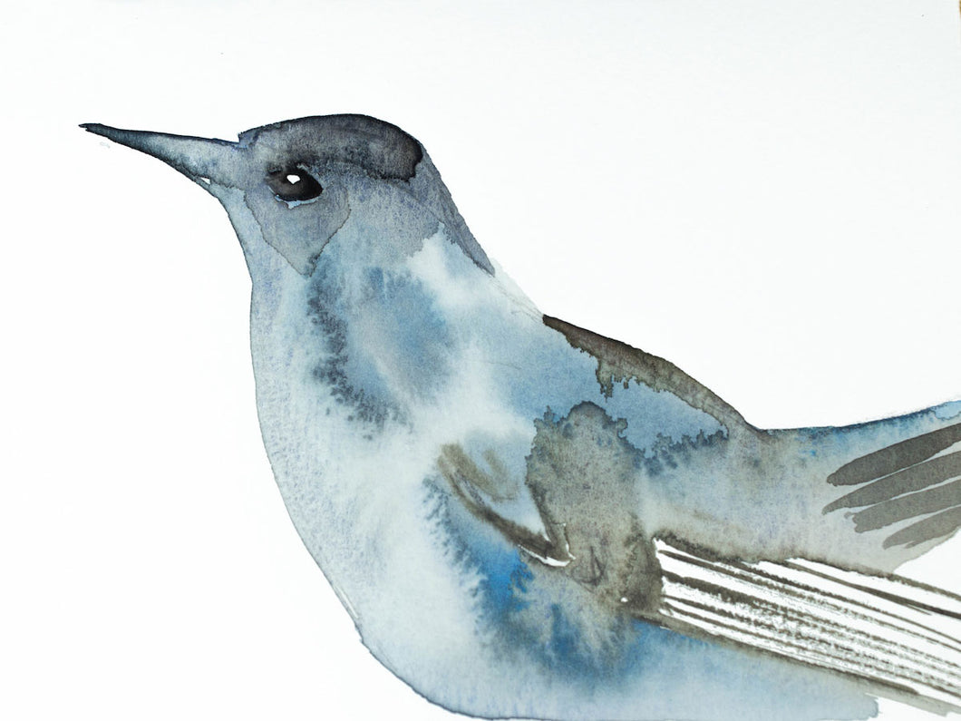 4.5” x 6” original watercolor wildlife nature catbird bird painting in an ethereal, expressive, impressionist, minimalist, modern style by contemporary fine artist Elizabeth Becker. Soft blue, gray and white colors.