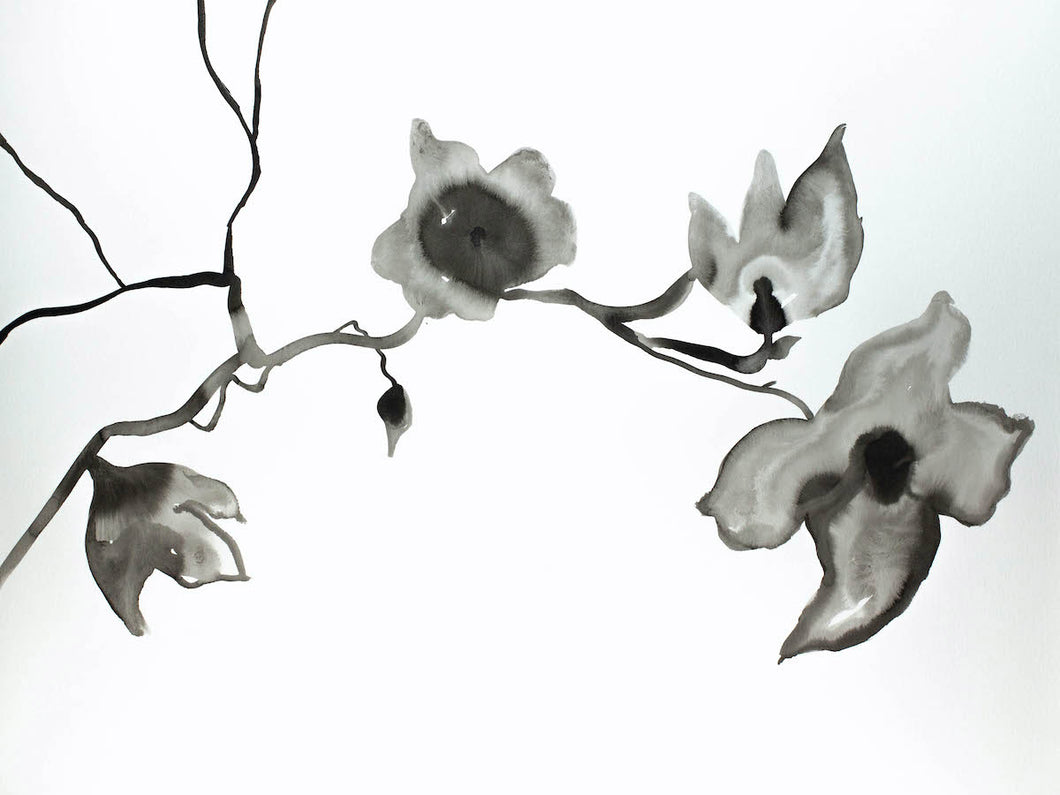 18” x 24” black and white botanical floral original ink painting in an expressive, impressionist, minimalist, modern style by contemporary fine artist Elizabeth Becker