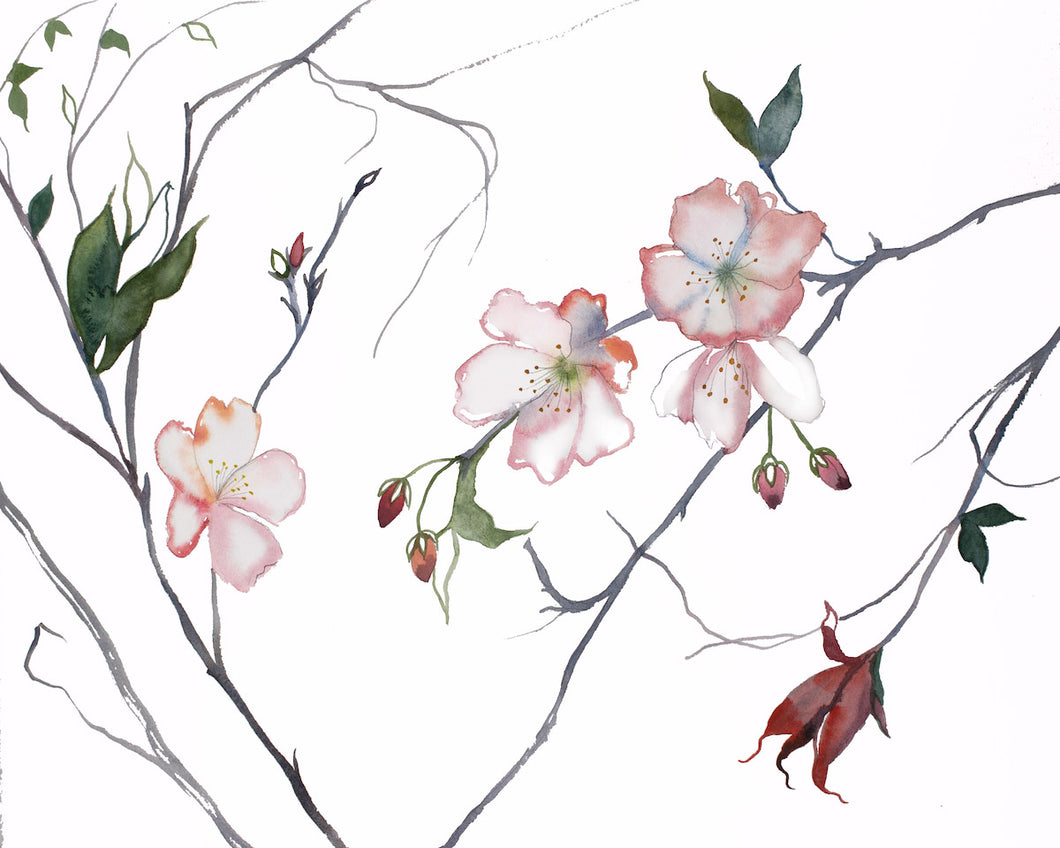 16” x 20” original watercolor botanical cherry blossom floral painting in an expressive, impressionist, minimalist, modern style by contemporary fine artist Elizabeth Becker