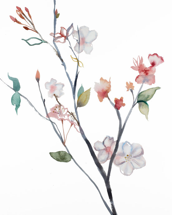 16” x 20” original watercolor botanical floral cherry blossom branch painting in an expressive, impressionist, minimalist, modern style by contemporary fine artist Elizabeth Becker. Soft pink, peach, red, green, white colors.