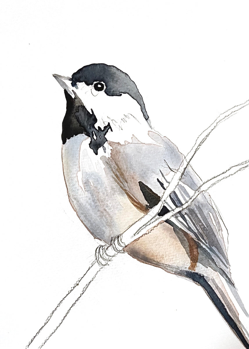 5” x 7” original watercolor black-capped chickadee painting in an ethereal, expressive, impressionist, minimalist, modern style by contemporary fine artist Elizabeth Becker