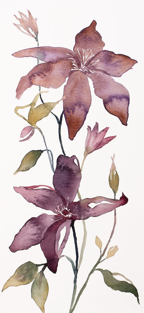 4.75” x 10.75” original watercolor botanical clematis vine floral painting in an expressive, impressionist, minimalist, modern style by contemporary fine artist Elizabeth Becker. 