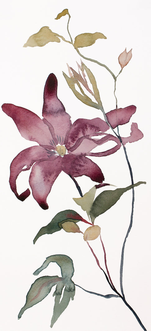 4.75” x 10.75” original watercolor botanical clematis vine floral painting in an expressive, impressionist, minimalist, modern style by contemporary fine artist Elizabeth Becker. 