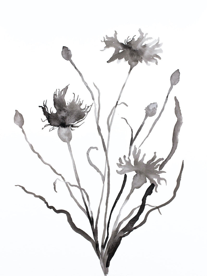 9” x 12” original botanical floral wildflower ink painting in an expressive, impressionist, minimalist, modern style by contemporary fine artist Elizabeth Becker. 